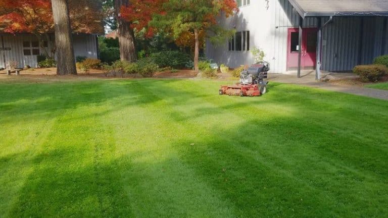 Give Your Lawn a Good Spring Cleanup