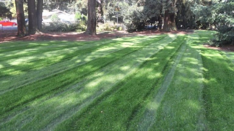 The Fall Is A Great Time To Give Your Lawn Some Attention