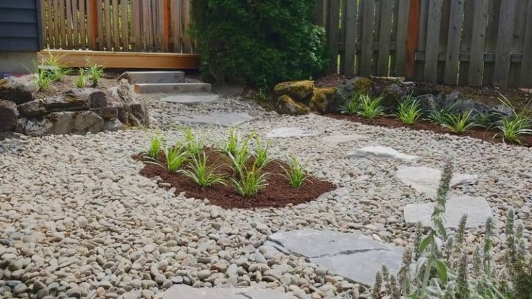 Drought Tolerant Landscaping Or Xeriscaping