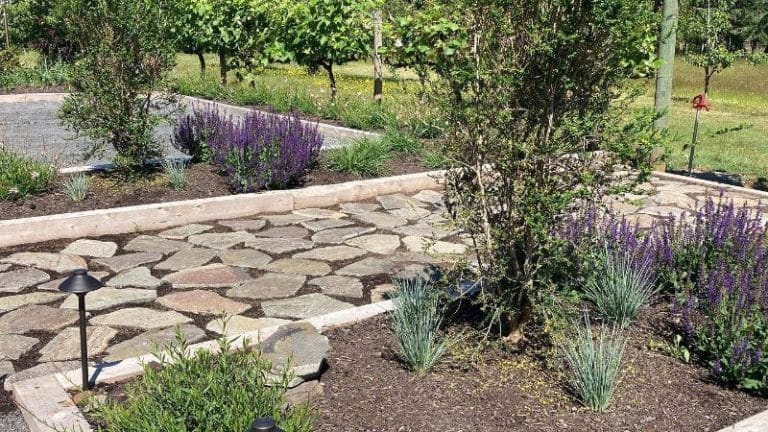 Hardscaping vs. Softscaping: What You Should Know