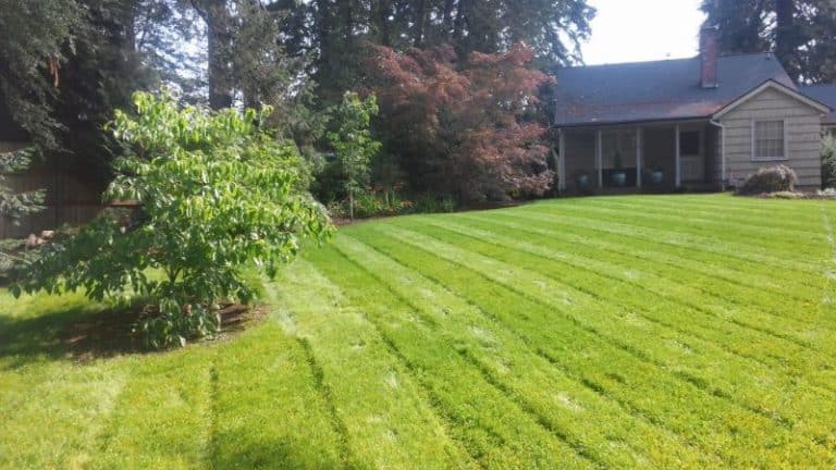 Who Is The Best Lawn Care Company In Oregon City, OR?