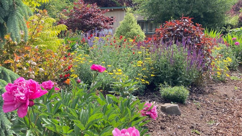 landscape plants for your zone