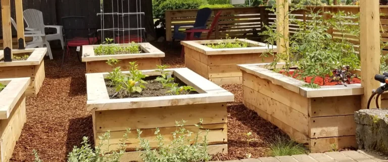 landscaping a small backyard
