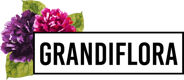 https://www.whiteoaknw.com/wp-content/uploads/2022/12/cropped-grandiflora-logo.png