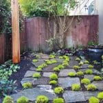 Planting Services By White Oak Landscapes