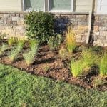 Planting Services By White Oak Landscapes