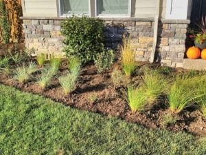 Planting Services By White Oak Landscapes