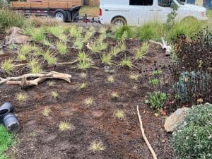 Planting Services By White Oak Landscapes