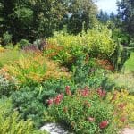 Planting Services By White Oak Landscapes