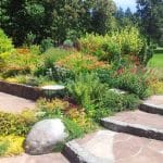 Planting Services By White Oak Landscapes