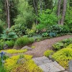 Planting Services By White Oak Landscapes