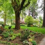 Planting Services By White Oak Landscapes