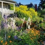 Planting Services By White Oak Landscapes