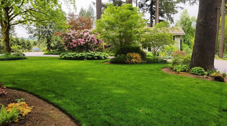 Landscape Maintenance Costs For Residential Estates