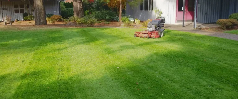 Organic lawn fertilizing in Portland