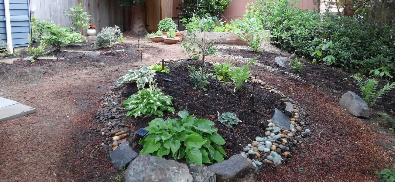 Irrigation system install blog