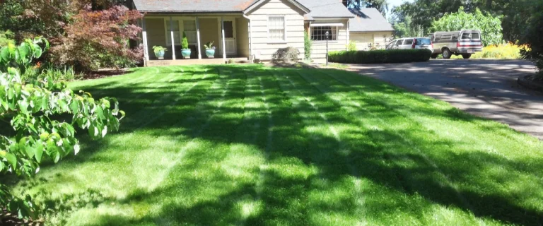 Irrigation system install blog