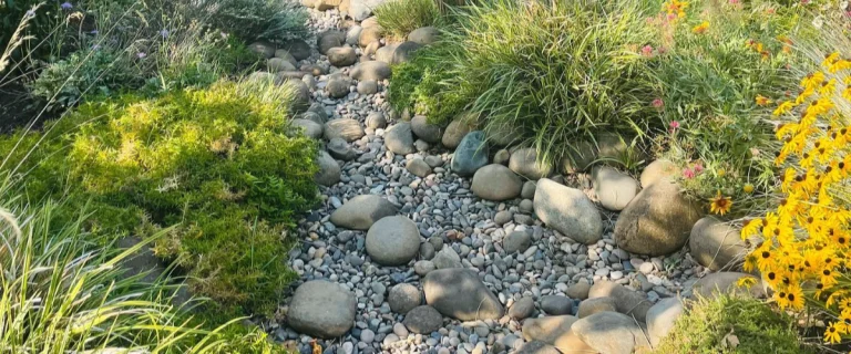 Drainage solutions for soggy yards