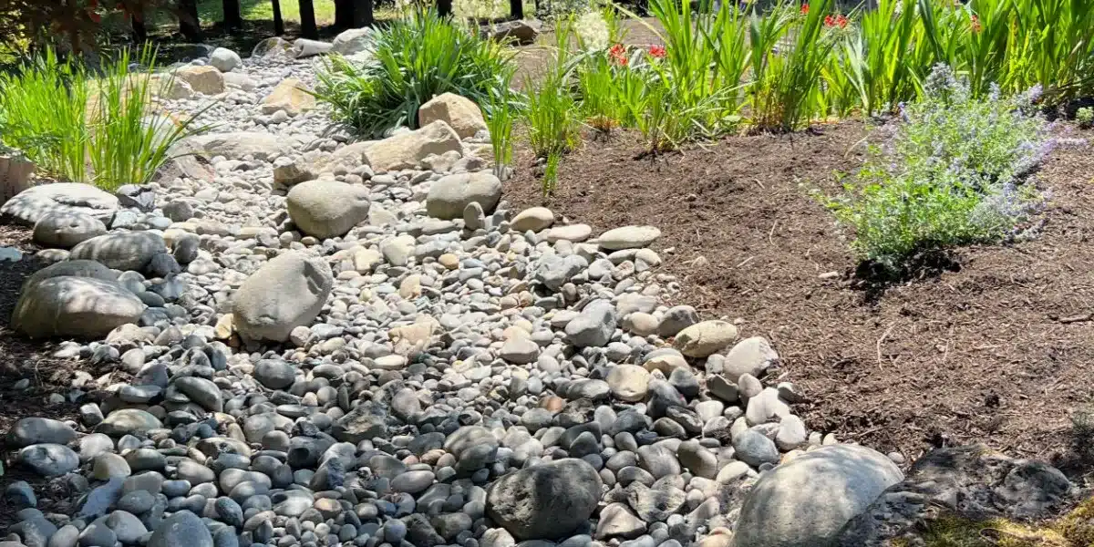 Drainage solutions for soggy yards