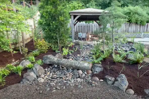 Dry Creek Bed