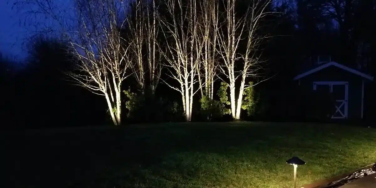 what to expect with a landscape lighting install